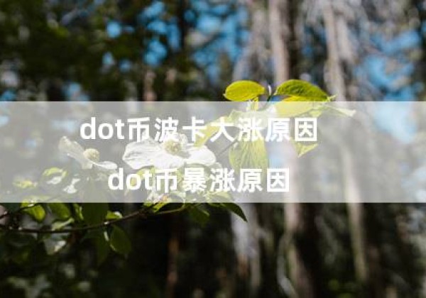 dot币波卡大涨原因（dot币暴涨原因）