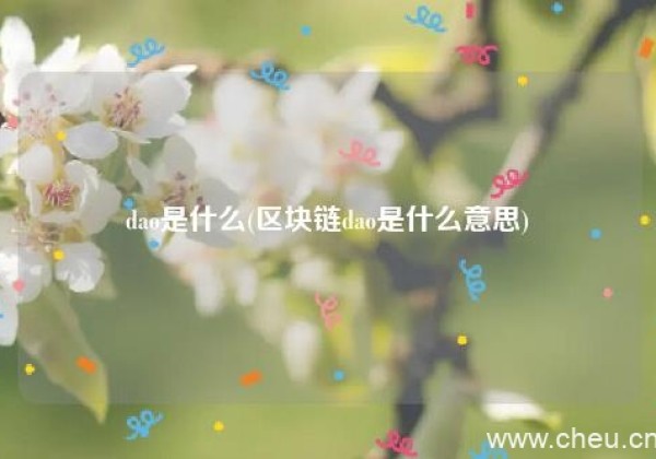 dao是什么(区块链dao是什么意思)