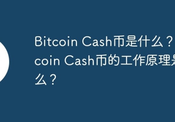 Bitcoin Cash币是什么？Bitcoin Cash币的工作原理是什么？