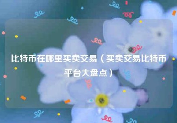 比特币在哪里买卖交易（买卖交易比特币平台大盘点）