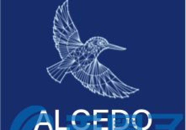 ALCE币／Alcedo是什么？ALCE介绍团队，官方网站，白皮书