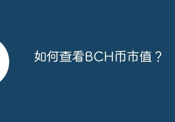 如何查看BCH币市值？