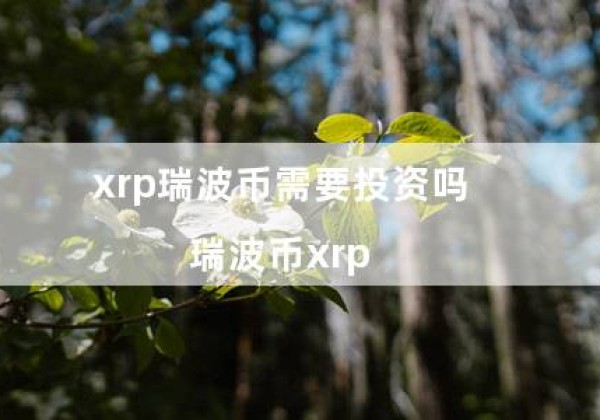 xrp瑞波币需要投资吗（瑞波币xrp）