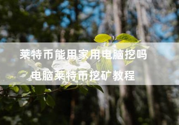 莱特币能用家用电脑挖吗（电脑莱特币挖矿教程）