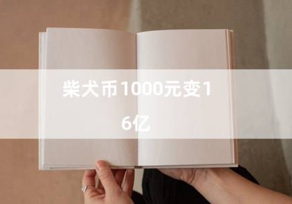 柴犬币1000元变1.6亿（柴犬币3000）