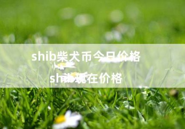 shib柴犬币今日价格（shib现在价格）