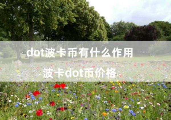 dot波卡币有什么作用（波卡dot币价格）