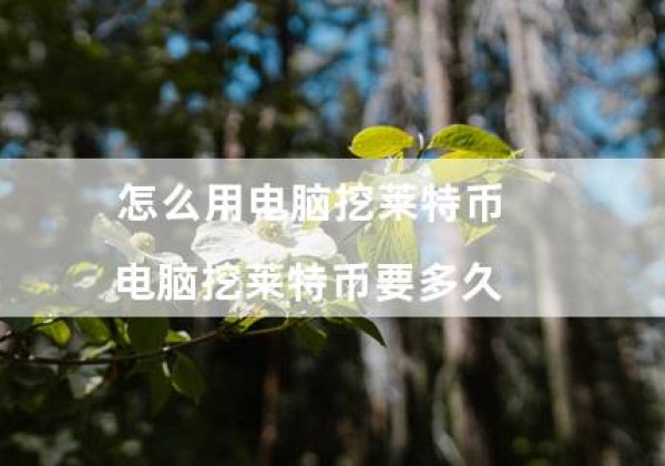 怎么用电脑挖莱特币（电脑挖莱特币要多久）