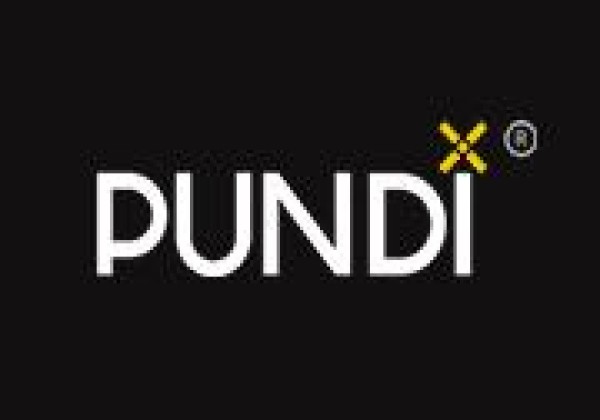 NPXS／Pundi X前景如何？NPXS介绍货币团队、亮点和应用场景