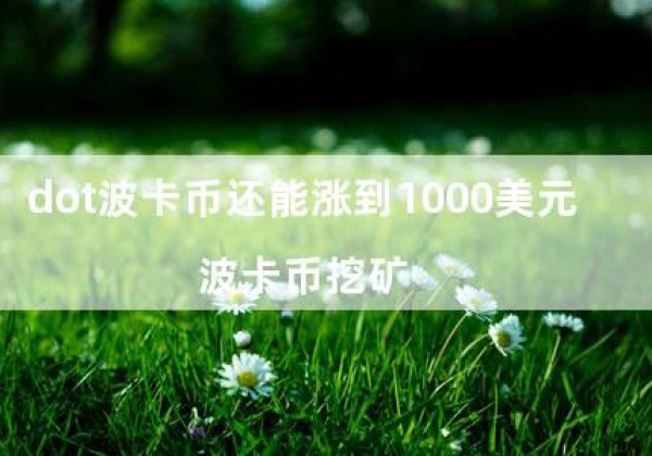 dot波卡币还能涨到1000美元（波卡币挖矿）