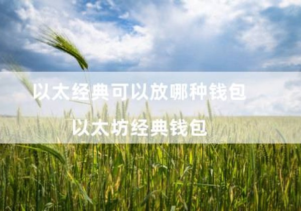 以太经典可以放哪种钱包（以太坊经典钱包）