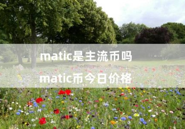 matic是主流币吗（matic币今日价格）