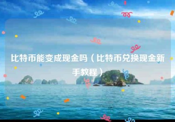 比特币能变成现金吗（比特币兑换现金新手教程）