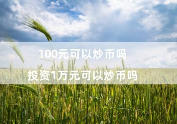 100元可以炒币吗（投资1万元可以炒币吗）