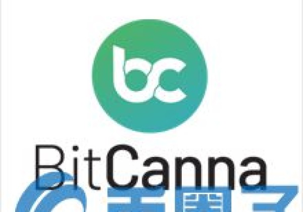 新手炒币市场前景如何投资：BCNA币／BitCanna是什么？BCNA官网和团队实力介绍