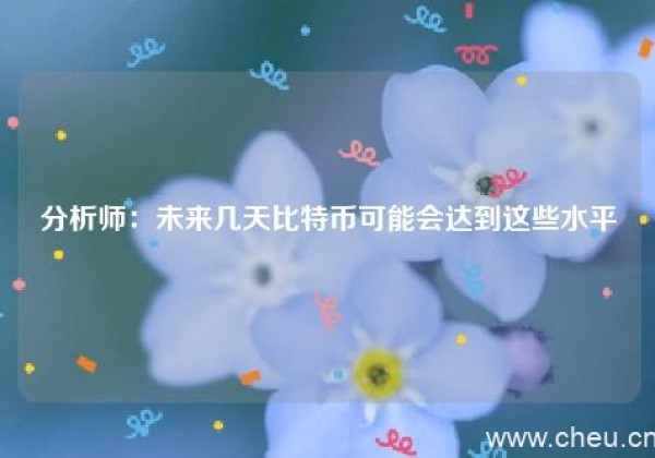 分析师：未来几天比特币可能会达到这些水平