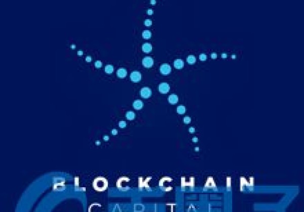 新手开100倍杠杆炒币：BCAP币／Blockchain Capital项目白皮书和团队介绍