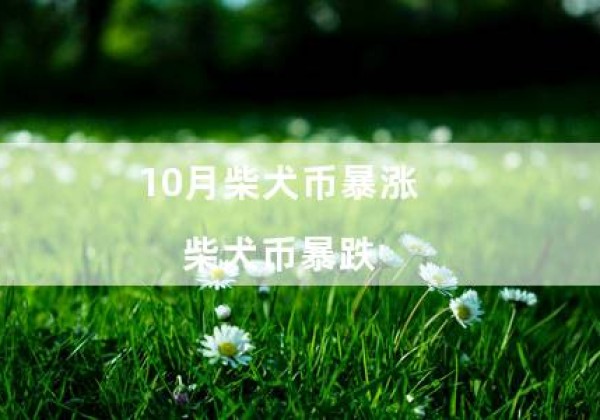 10月柴犬币暴涨（柴犬币暴跌）