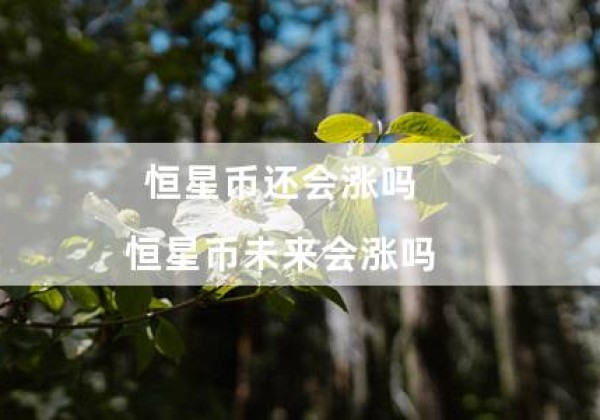 恒星币还会涨吗（恒星币未来会涨吗）