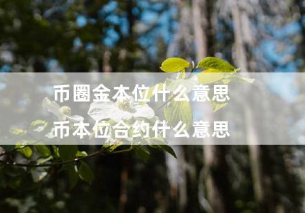 币圈金本位什么意思（币本位合约什么意思）