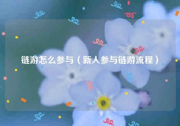 链游怎么参与（新人参与链游流程）