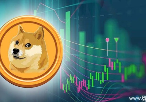 DOGE／狗狗币五年后能涨30元吗？