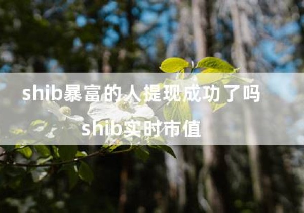 shib暴富的人提现成功了吗（shib实时市值）