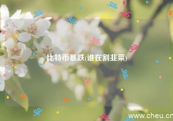 比特币暴跌(谁在割韭菜)