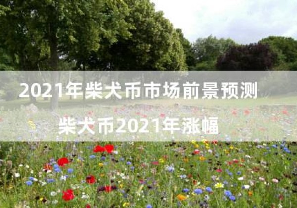 2021年柴犬币市场前景预测（柴犬币2021年涨幅）