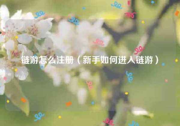 链游怎么注册（新手如何进入链游）