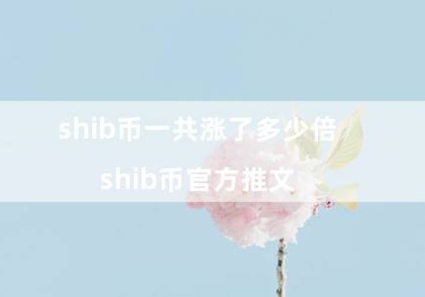 shib币一共涨了多少倍（shib币官方推文）