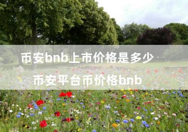 币安bnb上市价格是多少（币安平台币价格bnb）