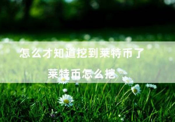 怎么才知道挖到莱特币了（莱特币怎么挖）