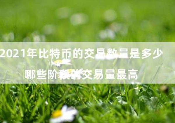 2021年比特币的交易数量是多少（哪些阶段的交易量最高）