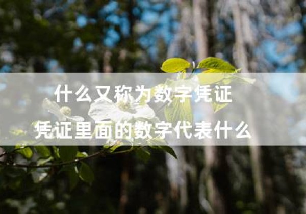 什么又称为数字凭证(凭证里面的数字代表什么)