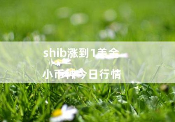 shib涨到1美金（小币种今日行情）