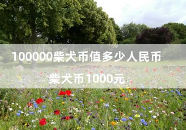 100000柴犬币值多少人民币（柴犬币1000元）