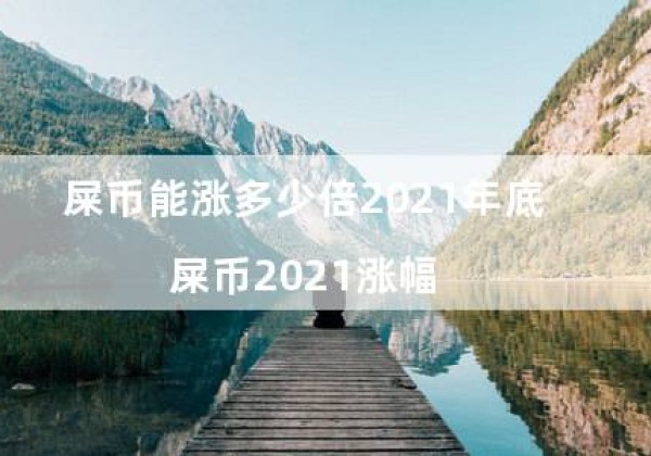 屎币能涨多少倍2021年底（屎币2021涨幅）