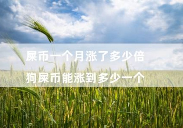 屎币一个月涨了多少倍（狗屎币能涨到多少一个）