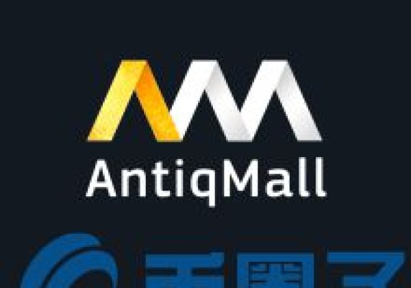 新手怎么炒币不亏最高价格：AMT币／AntiqMall是什么？AMT官方网站、白皮书和团队简介