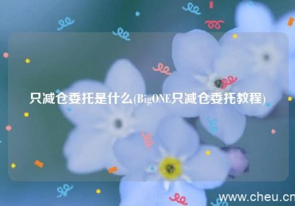 只减仓委托是什么(BigONE只减仓委托教程)