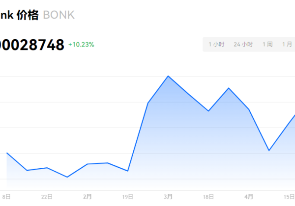 BONK币有潜力吗?BONK币可以长期持有吗？