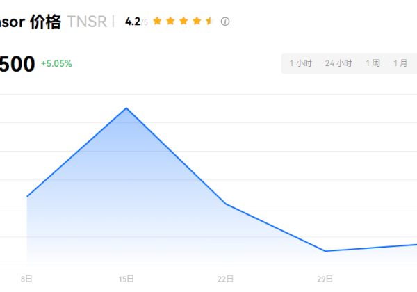 TNSR币是什么币？TNSR币有购买价值吗？