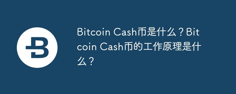 bitcoin cash币是什么？bitcoin cash币的工作原理是什么？