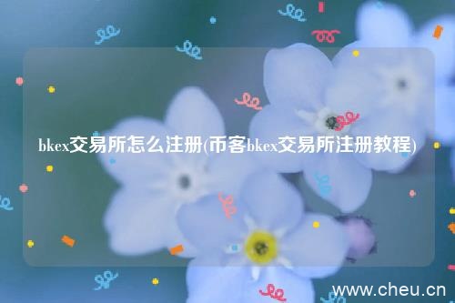 bkex交易所怎么注册(币客bkex交易所注册教程)