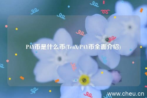 PAY币是什么币(TenX