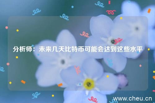 分析师：未来几天比特币可能会达到这些水平