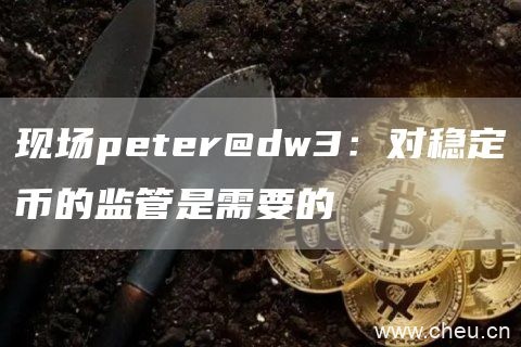 现场peter@dw3：对稳定币的监管是需要的1