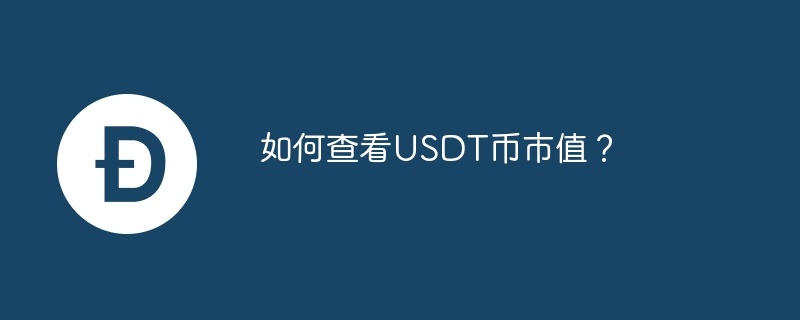 如何查看USDT币市值？