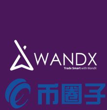 WAND/WandX